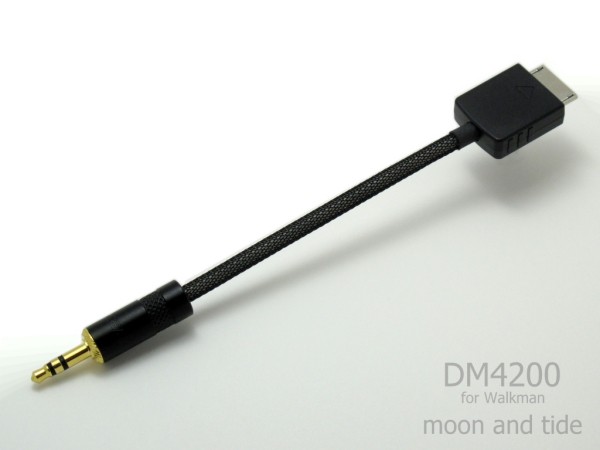 Dockケーブル Walkman用 DM4200